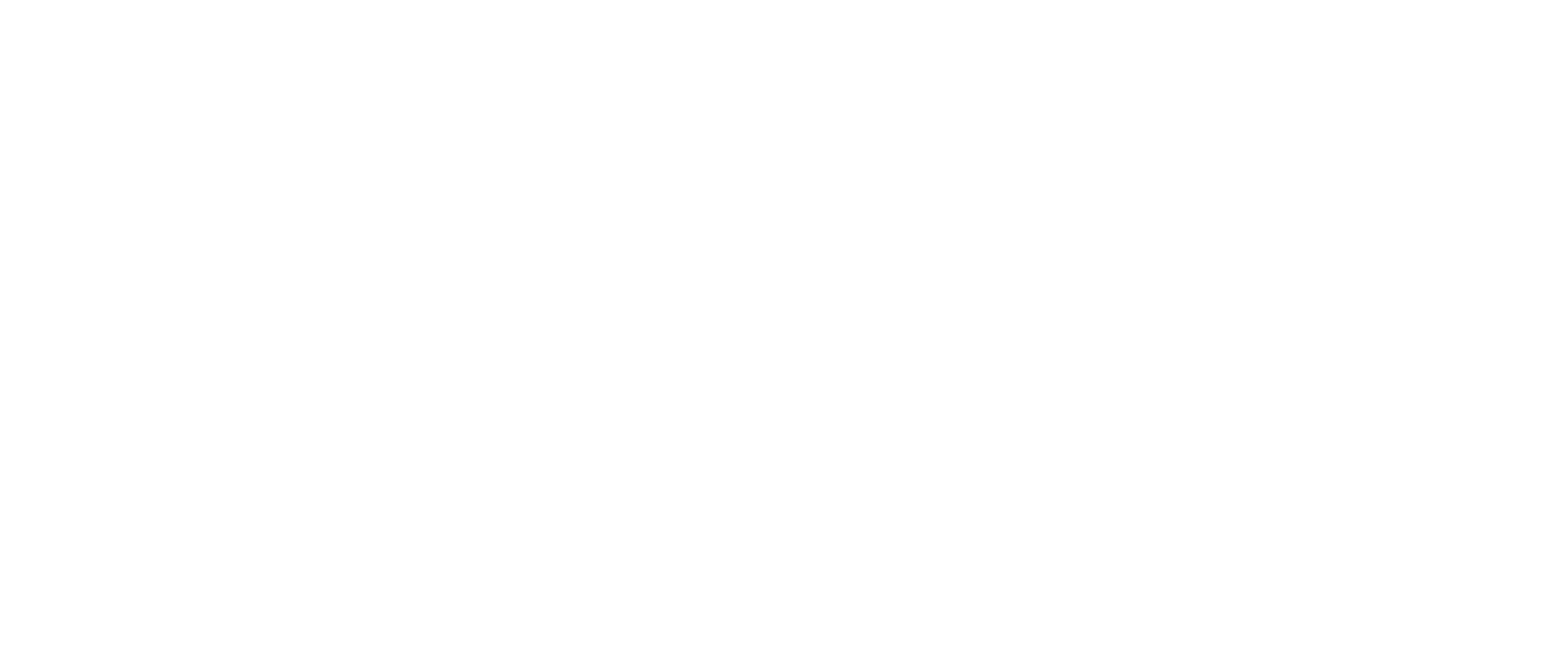 VendisCapital-logo-big-white-02