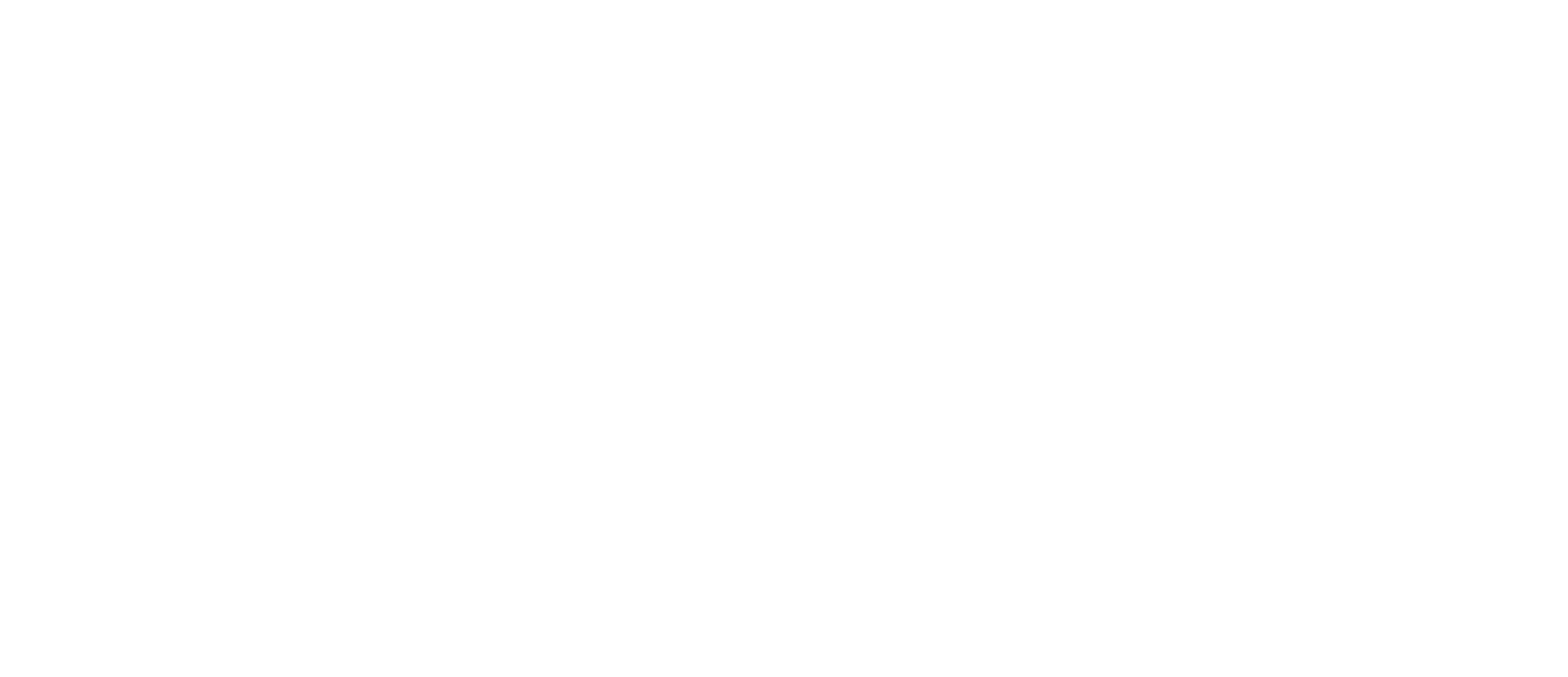 insightpartners-white